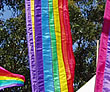 Markets - Events - Festivals