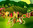 Splendour in the Grass 2009