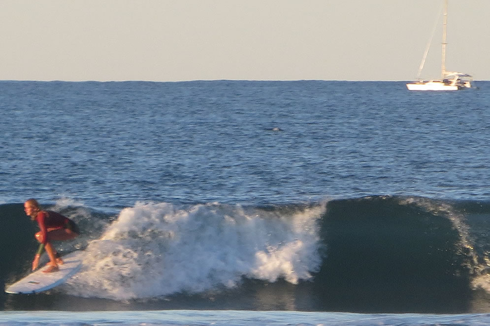 Belongil Surfer catching a wave in byron bay