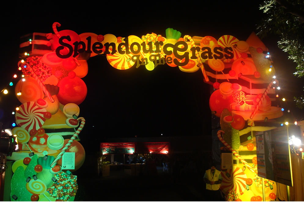 Splendour in the Grass at Night