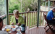 Avocado Grove Bed and Breakfast