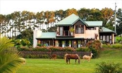 BlueGreen House - Byron Bay Hinterland