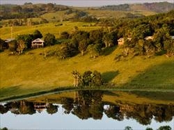 Byron Bay Farmstay - Byron Bay Hinterland