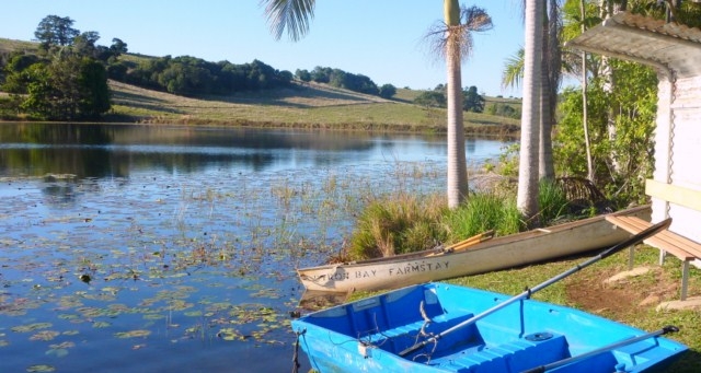 Byron Bay Farmstay - Byron Bay Hinterland