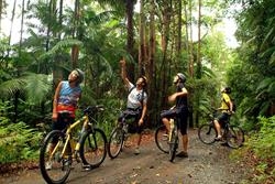 Byron Bay Package Tours