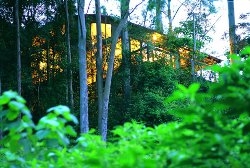 Crystal Creek Rainforest Retreat