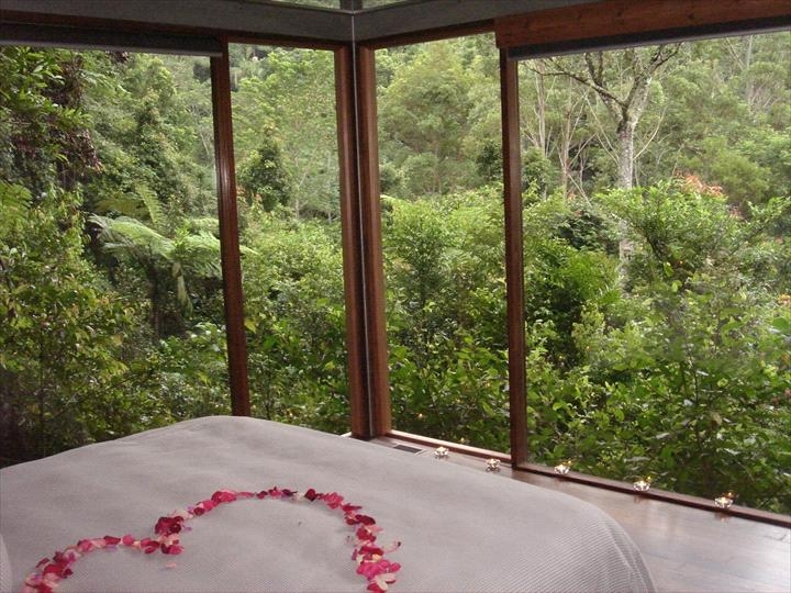 Crystal Creek Rainforest Retreat