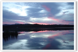 Ewen Maddock Dam Recreation Centre - Wildeco