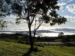 Lyndon Lodge Maleny B&B