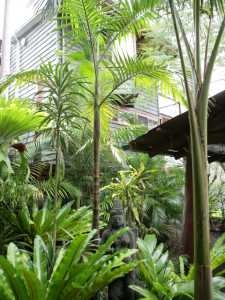 Maleny Tropical Retreat