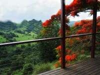Maleny Tropical Retreat