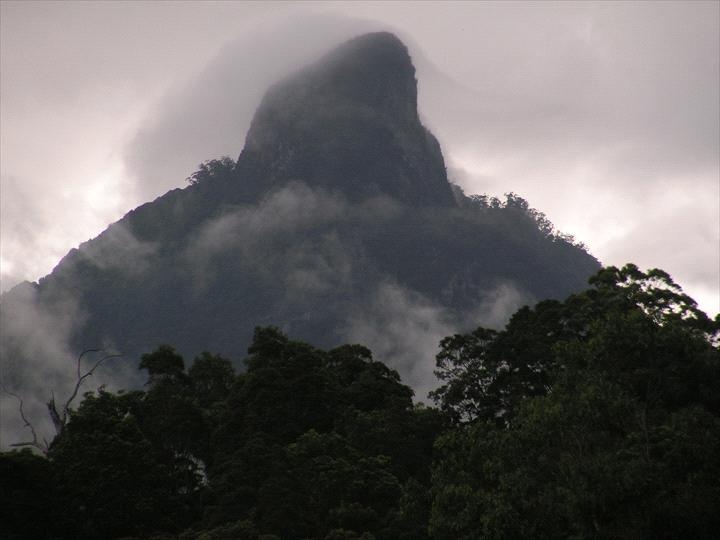 Mt Warning Holiday Park