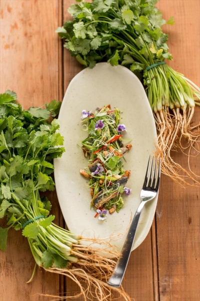 Spicers Tamarind