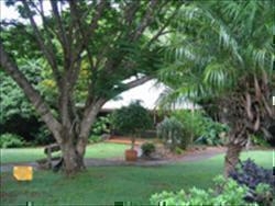Tanglewood Gardens