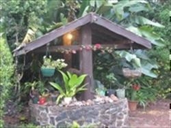 Tanglewood Gardens
