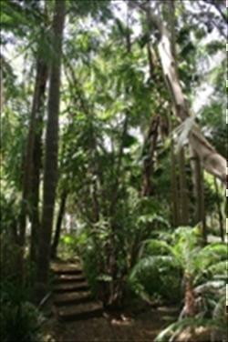 Tanglewood Gardens