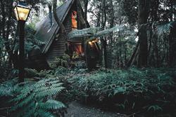 The Mouses House